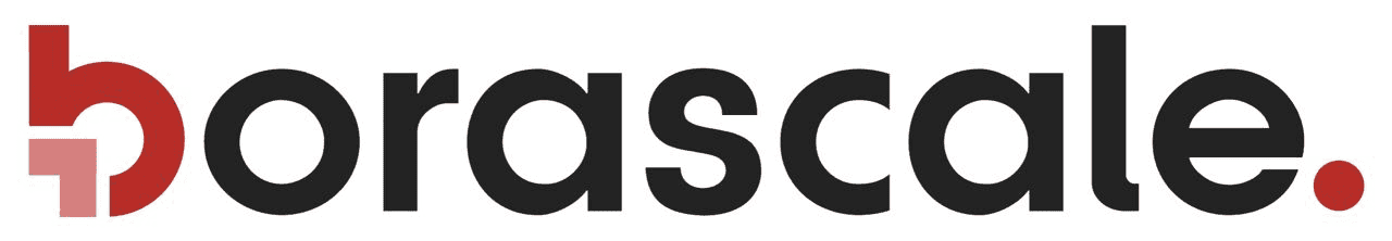 LOGO BORASCALE